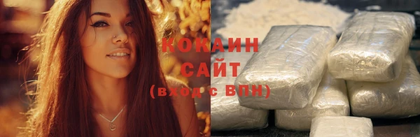 ГАЛЛЮЦИНОГЕННЫЕ ГРИБЫ Козловка