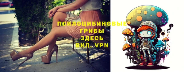 твердый Кодинск