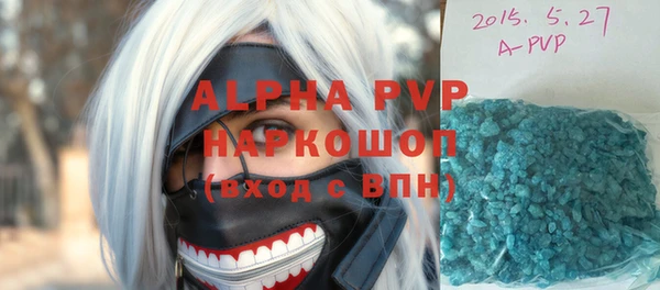 ГАЛЛЮЦИНОГЕННЫЕ ГРИБЫ Козловка